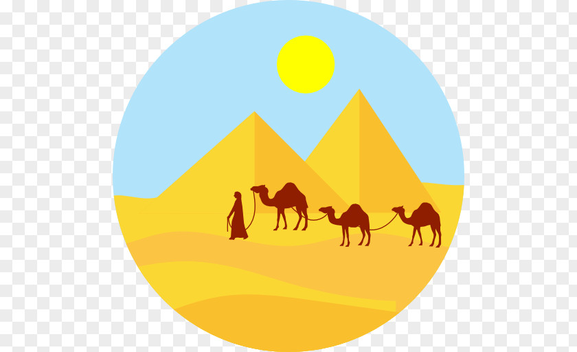 Desert Dromedary Bactrian Camel Biome PNG