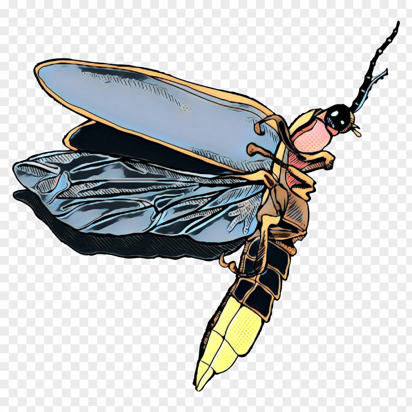 Honey Bee Clip Art Insect PNG