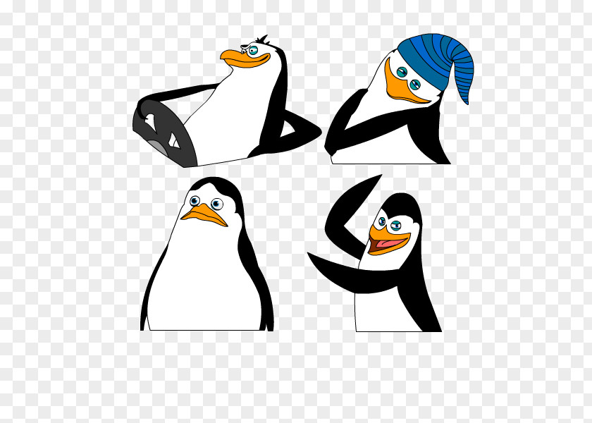 Madagascar Penguins Penguin Drawing Flightless Bird PNG