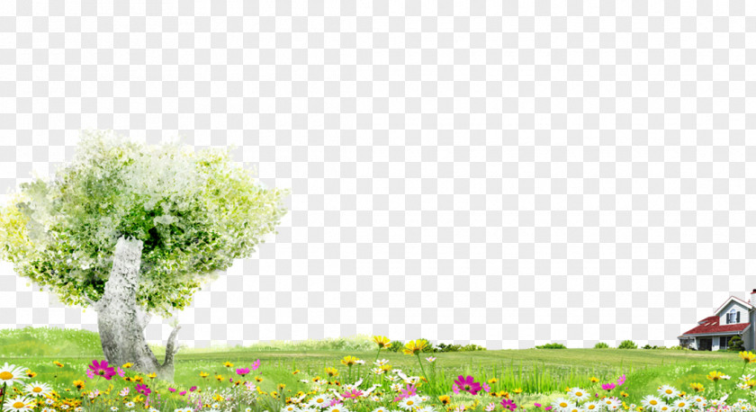 Trees And Flowers Green Grass Background Material PNG