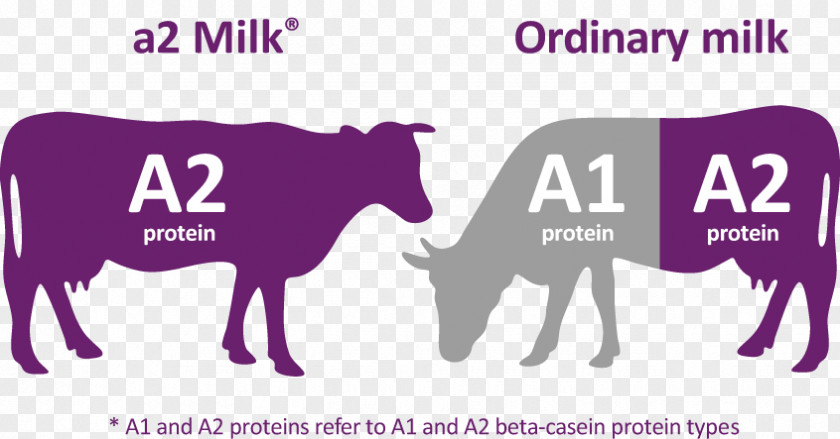 A2 Milk The Company Cattle Dairy Products PNG