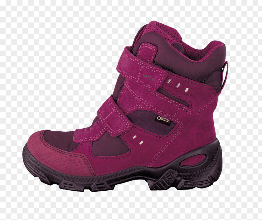 Boot Snow ECCO Shoe Hiking PNG
