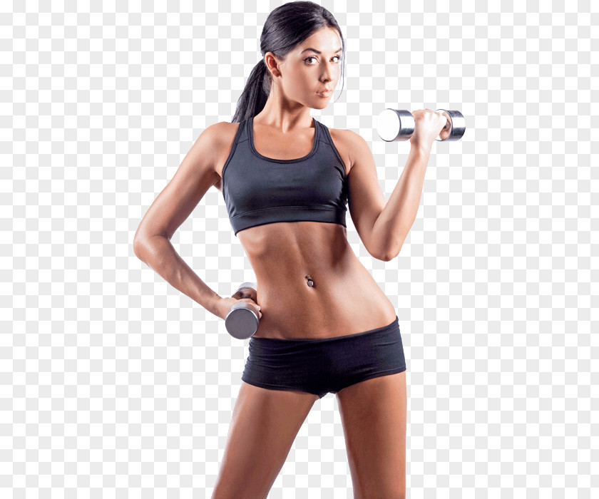 Fitness Exercise Physical Centre Weight Loss Human Body PNG