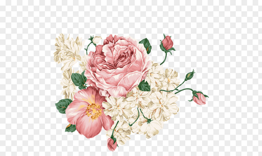 Flower Peony PNG
