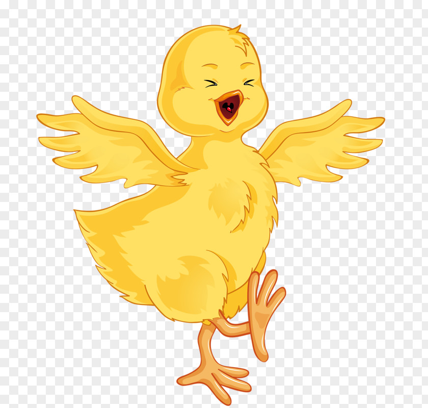 Singing Cartoon Chick Duck Clip Art PNG