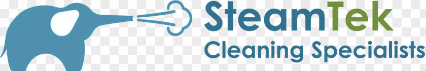 Steam Cleaning Logo Washing PNG
