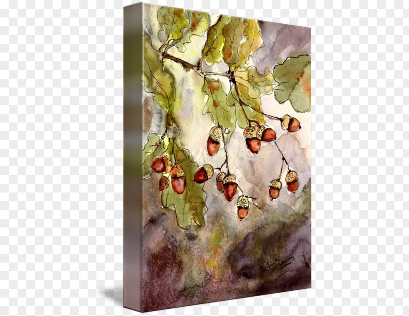 Watercolor Botanical Painting Acorn Oak Leaf PNG