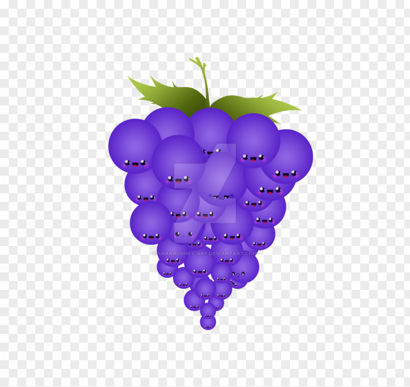 Grape Common Vine Clock Gelatin Dessert Fruit PNG