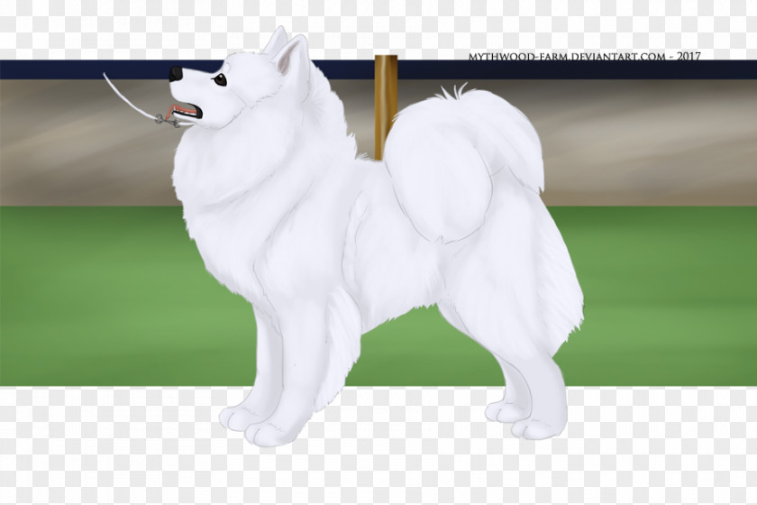 Kremlin Samoyed Dog Kishu Pomeranian Breed Canidae PNG