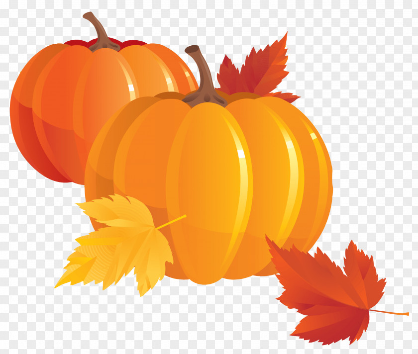 Pumpkin Pie Clip Art PNG