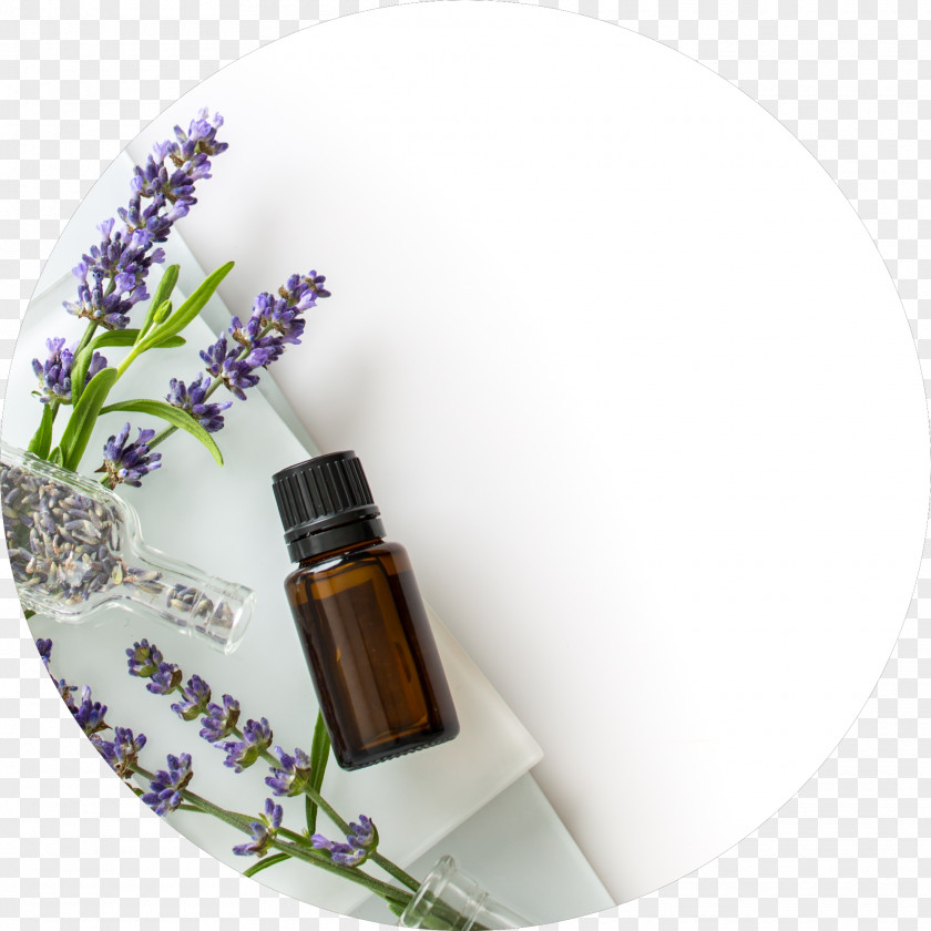 Sweet Scented Osmanthus Essential Oil Lavender DoTerra PNG