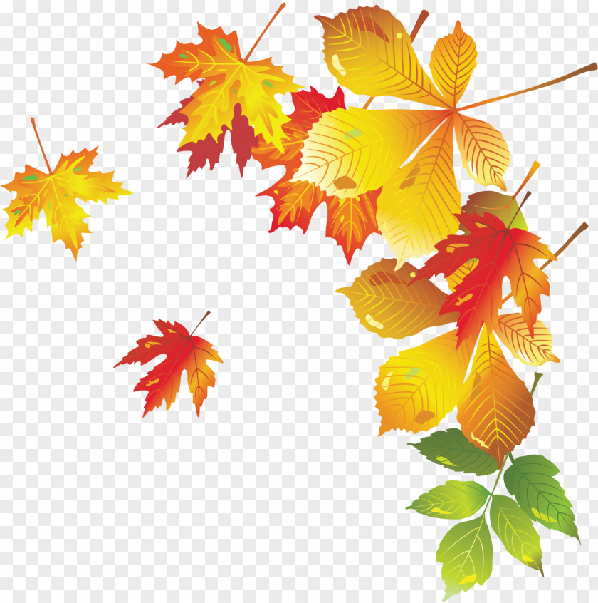 Autumn Leaves Leaf PNG