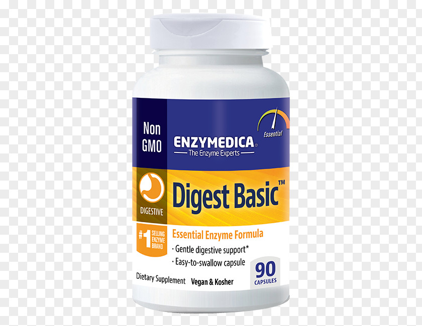Digestive Enzyme Digestion Probiotic Deficiency PNG