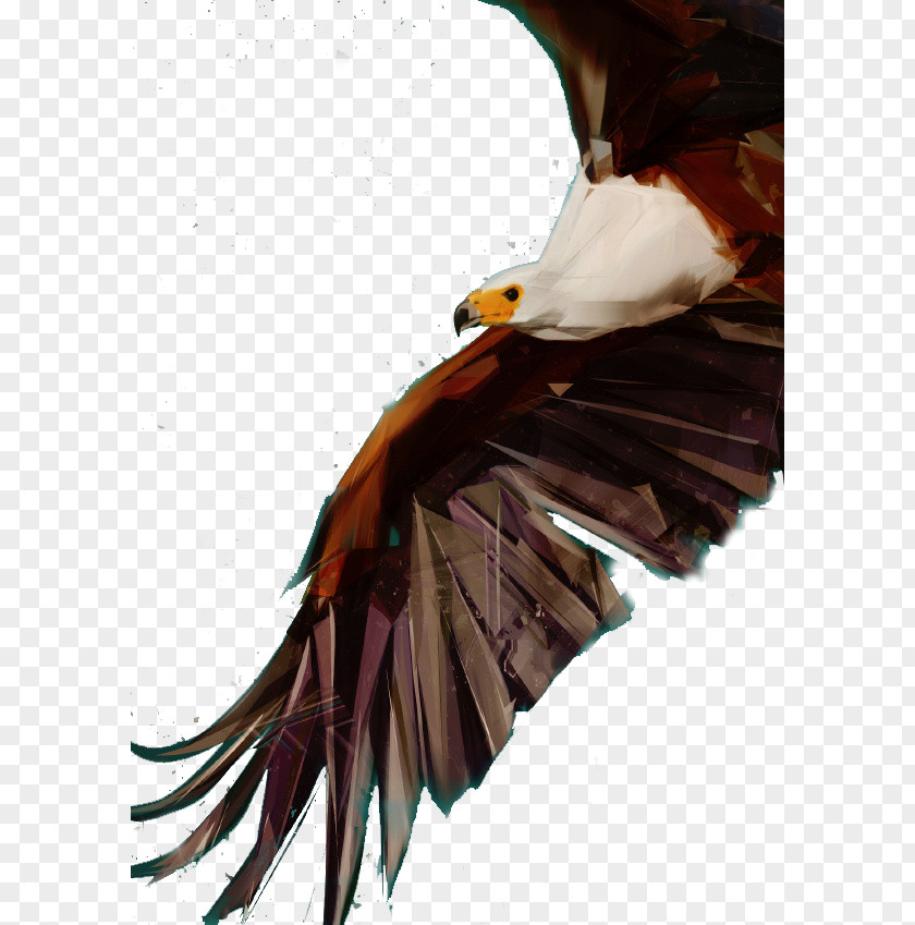 Hand-painted Eagle Bald Bird Flight Falcon Owl PNG