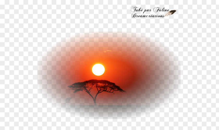 Sunset Dreams Création Graphique Landscape Desktop Wallpaper Faline PNG