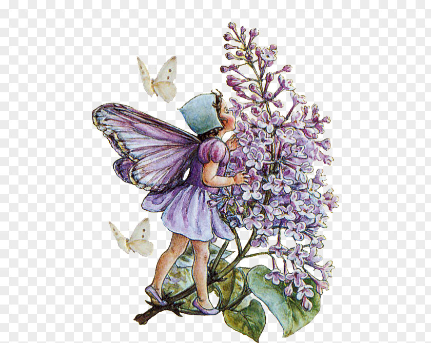 Cicely Mary Barker A Flower Fairy Alphabet Fairies Of The Garden Autumn: With Nuts And Berries They Bring PNG
