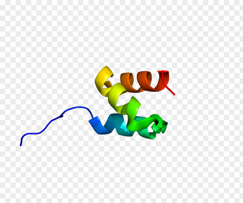 Dependent Source HUWE1 Ubiquitin Ligase Protein PNG