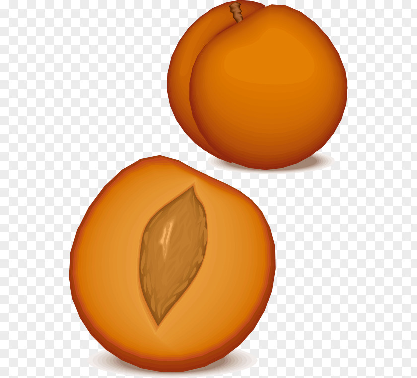 Peach Fruit Clip Art PNG