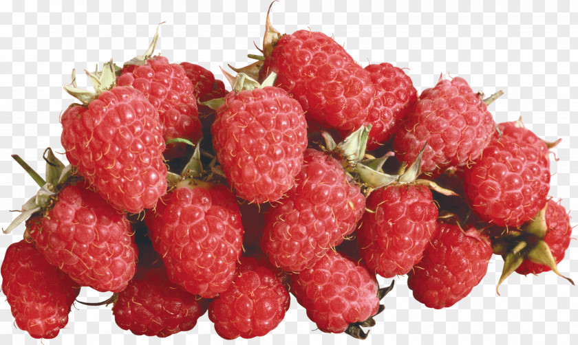 Rraspberry Image Red Raspberry PNG