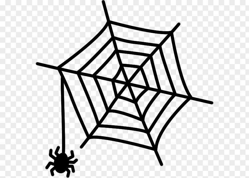 Spider Web PNG