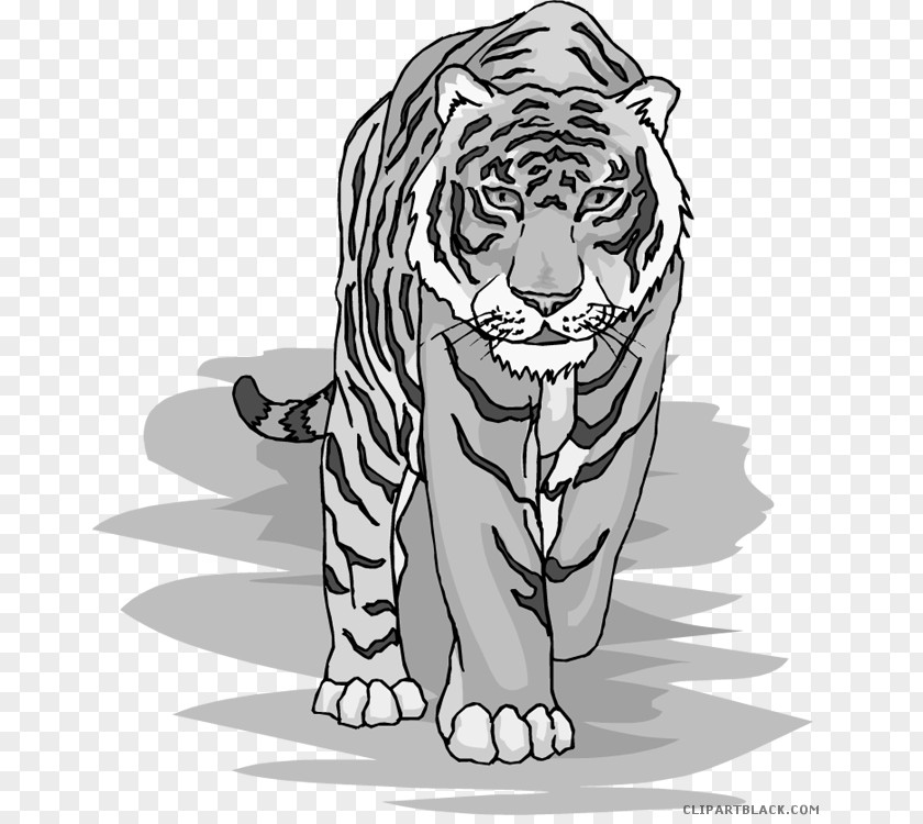 Cat Siberian Tiger Clip Art Openclipart Bengal PNG