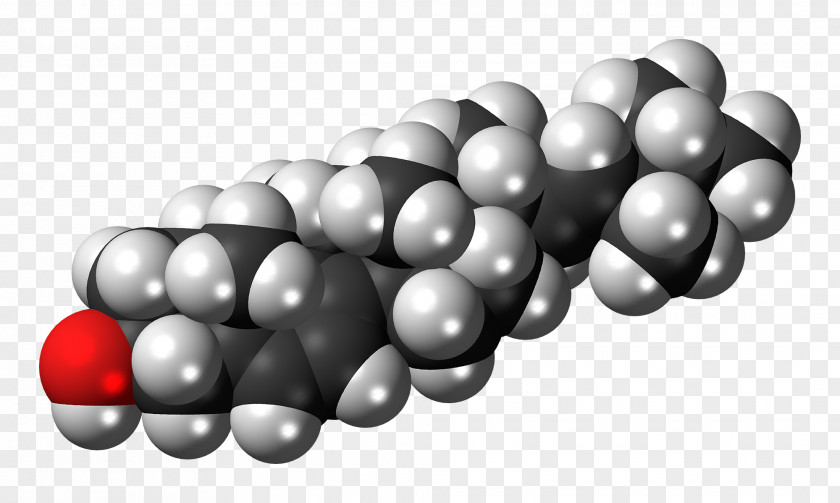 Fungi Cholesterol Molecule Fat Lipid Chemical Substance PNG