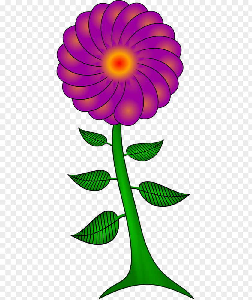 Pedicel Plant Stem Flower Drawing PNG