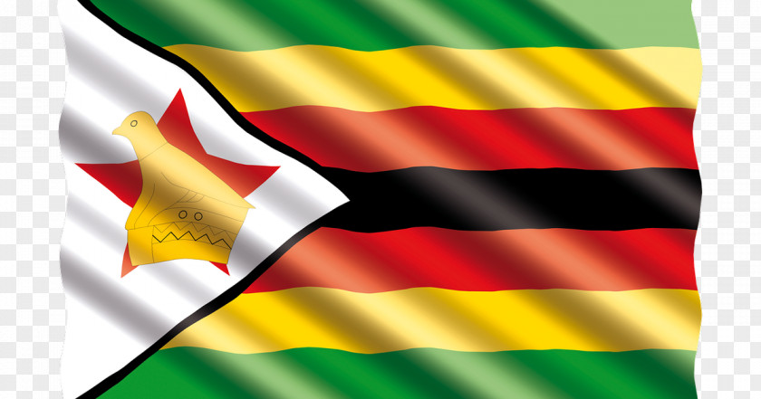 Plymouth England Nightlife President Of Zimbabwe News Flag PNG