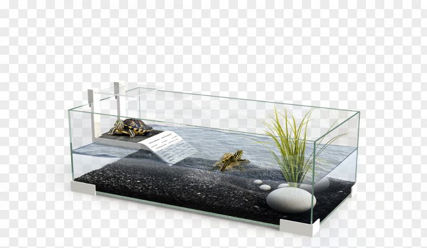 Rack Turtle Reptile Aquarium Terrarium Terrapin PNG