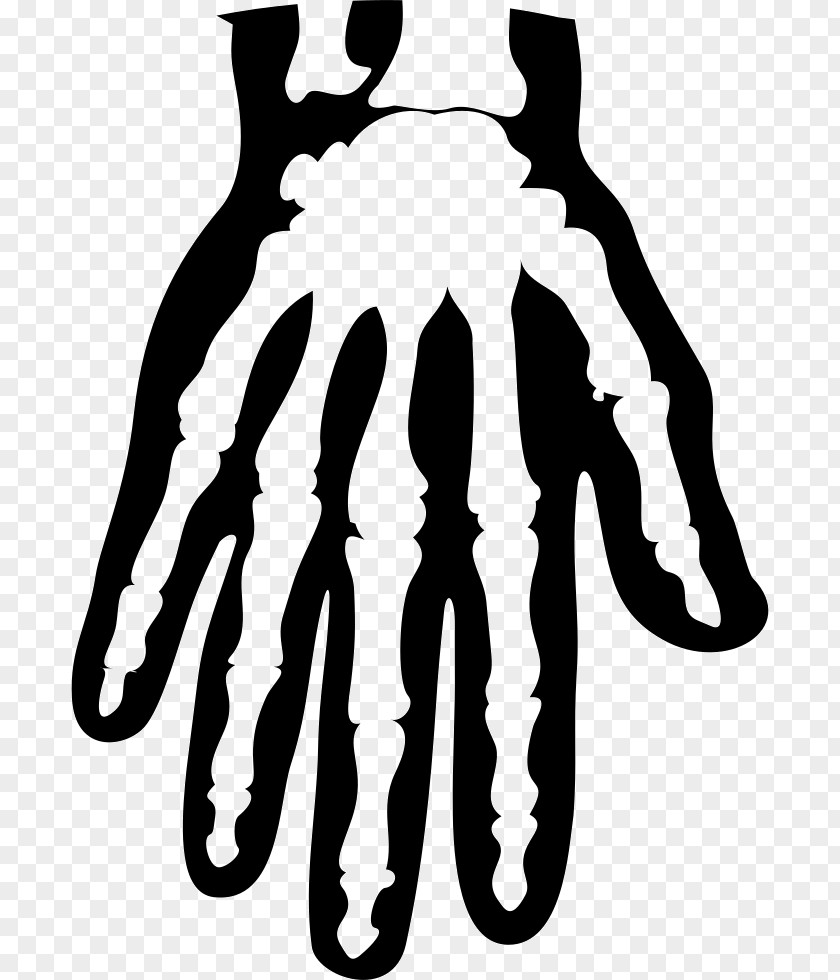 Shakey Graves Roll The Bones Metacarpal Finger Illustration PNG