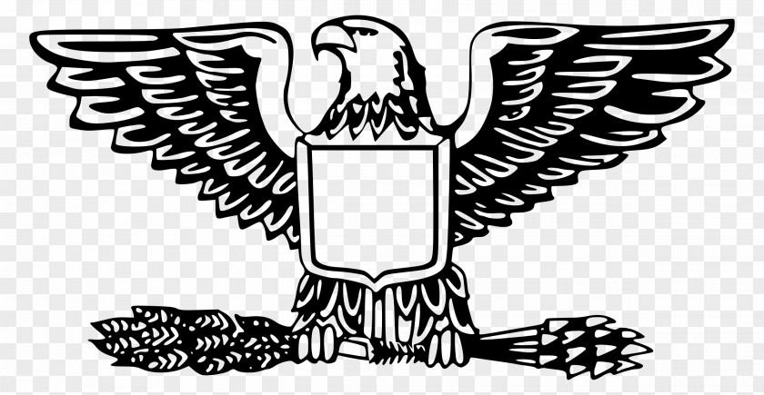 United States Bald Eagle American Outfitters Clip Art PNG