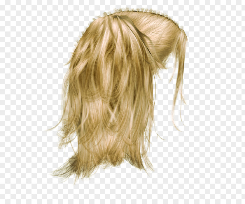 Wig Hair Clip Art PNG