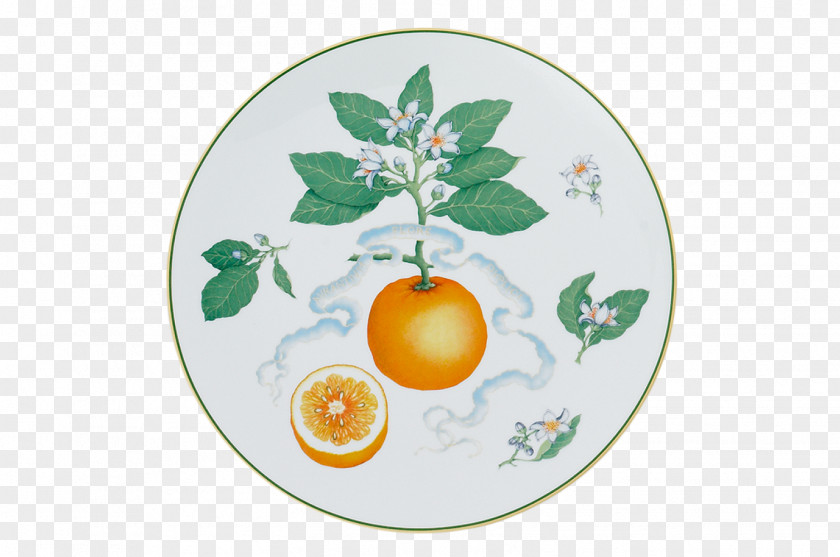 Christmas Citrus Mottahedeh & Company Ornament Tableware PNG