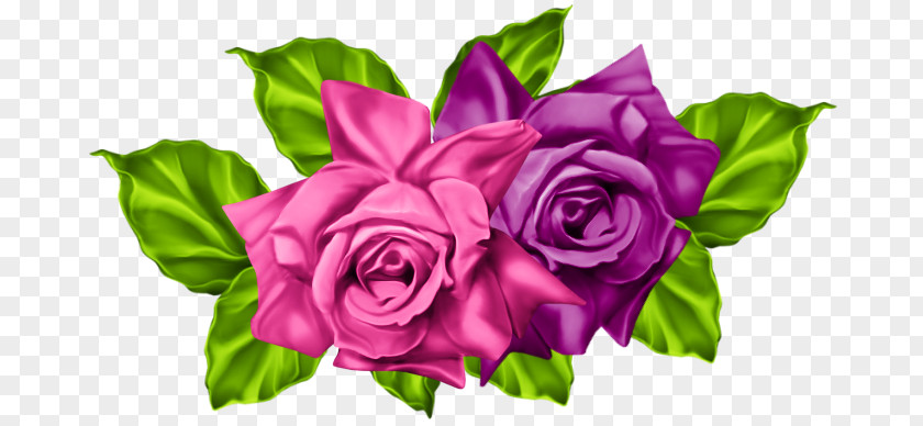 Flower Garden Roses Floral Design Cut Flowers PNG