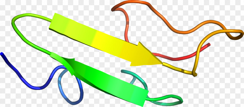 Line Clip Art PNG