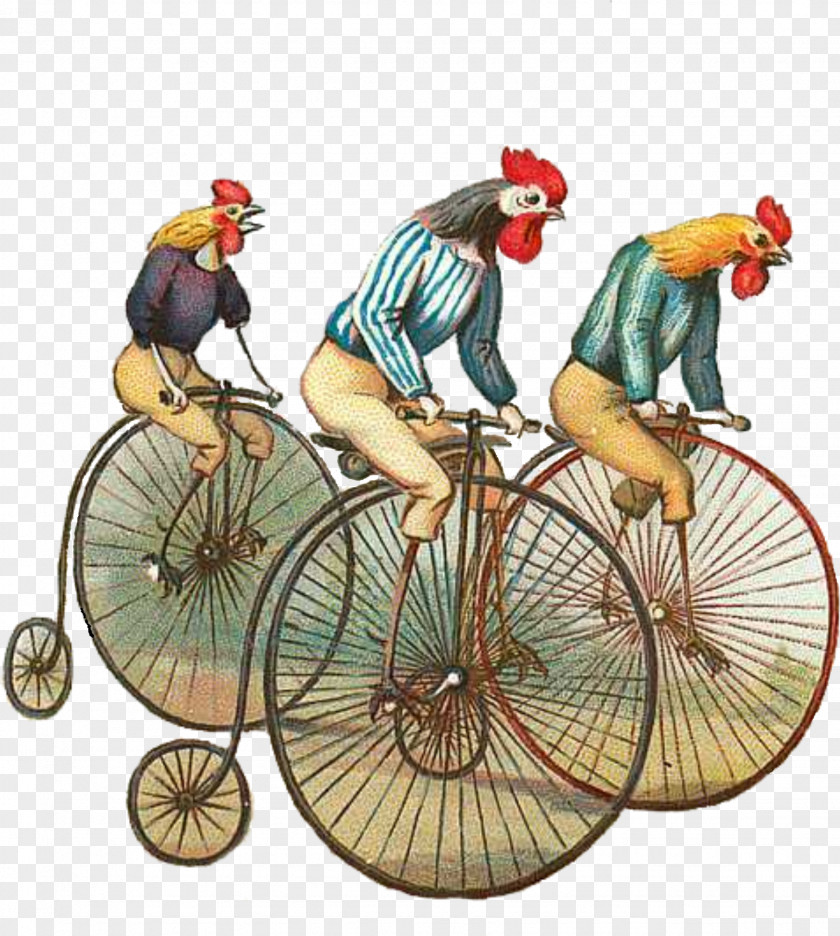 Matting Clipart T-shirt Chicken Bicycle Cycling Penny-farthing PNG