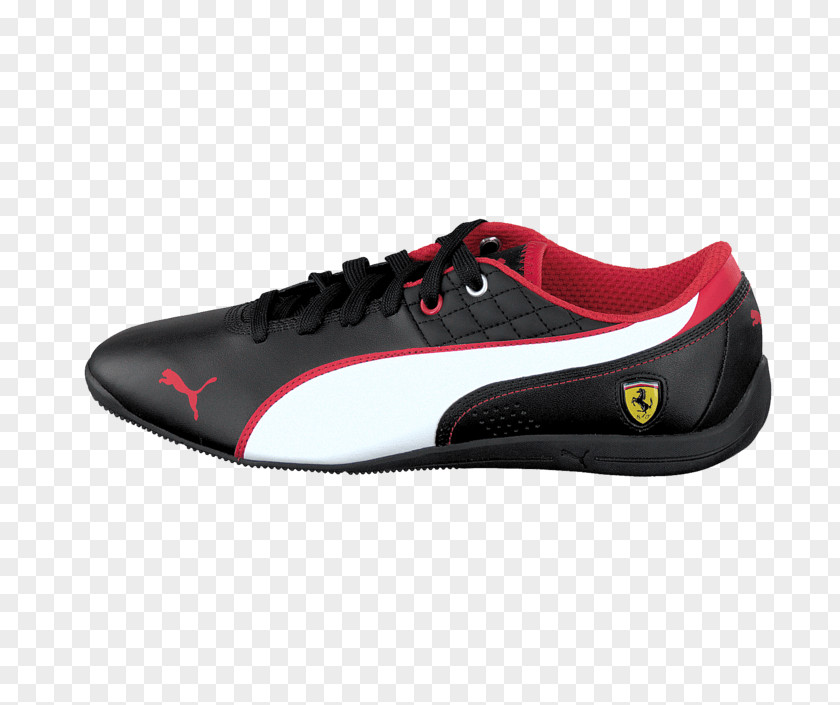 Puma Cat Sneakers Basketball Shoe Hiking Boot Sportswear PNG