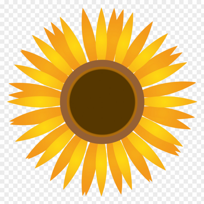 Sunflower Draw Common Clip Art PNG