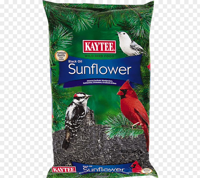 Sunflower Oil Bird Food Finch Seed Kaytee PNG