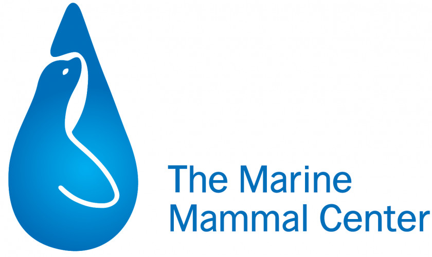 The Marine Mammal Center Sausalito Ocean PNG