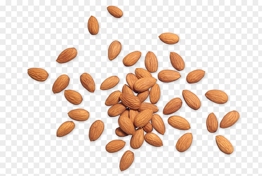 Almond Nut Kind Organic Food PNG