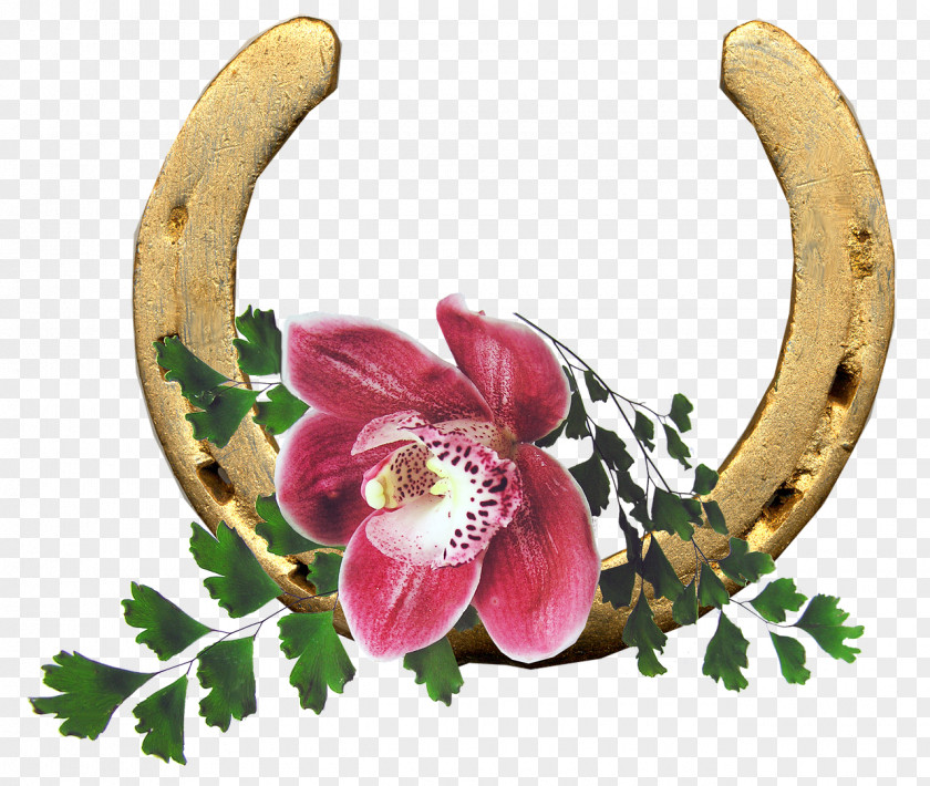 Cattleya Headband Pink Flower Cartoon PNG