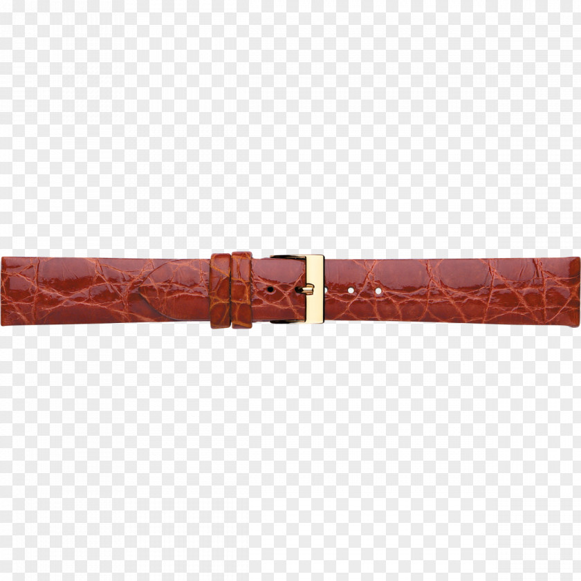 Crocodile Buckle Watch Strap Galle PNG