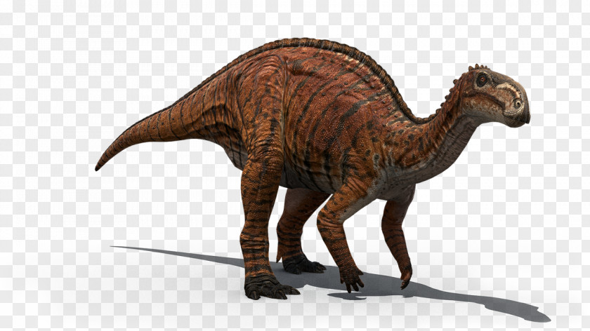 Dinosaur Tyrannosaurus Velociraptor QUT Stegosaurus PNG