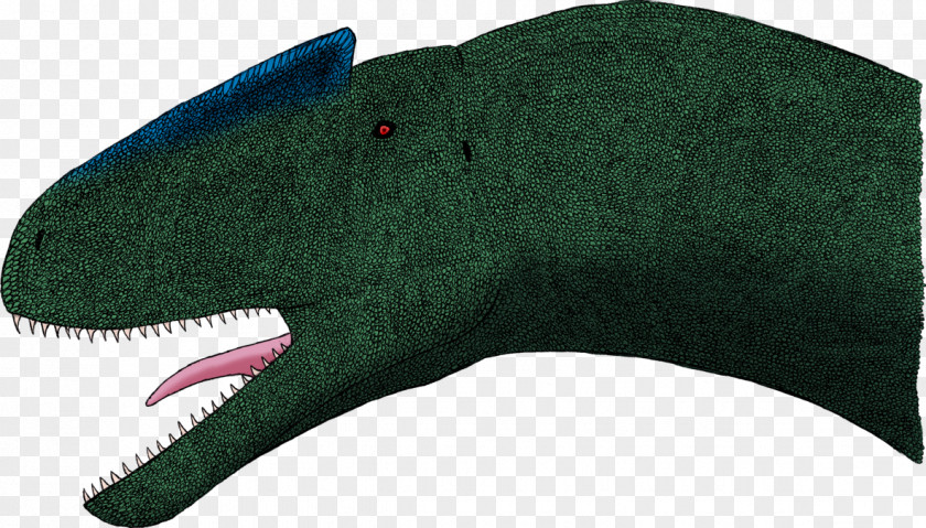 Dolphin Porpoise Cetacea Headgear Dinosaur PNG