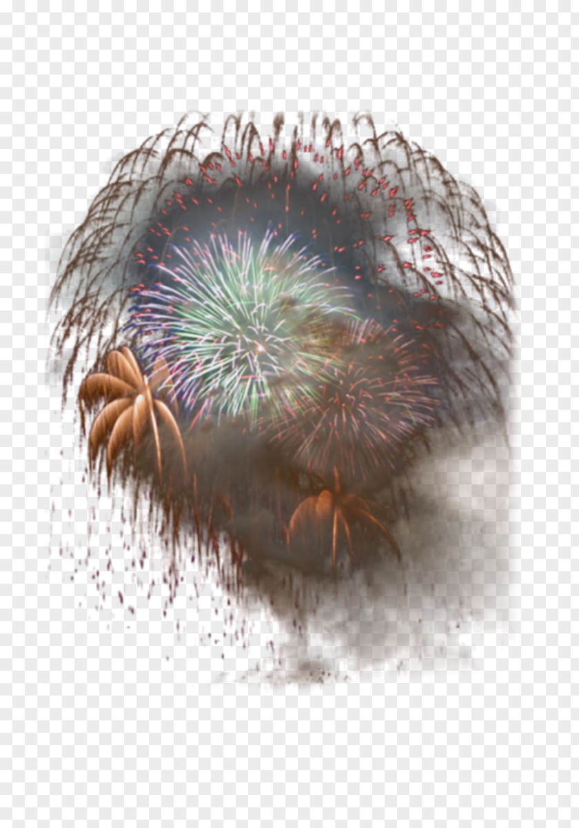 Fireworks Centerblog Alcoholism PNG