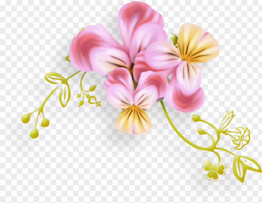 Flower Floral Design Cut Flowers Moth Orchids Petal PNG