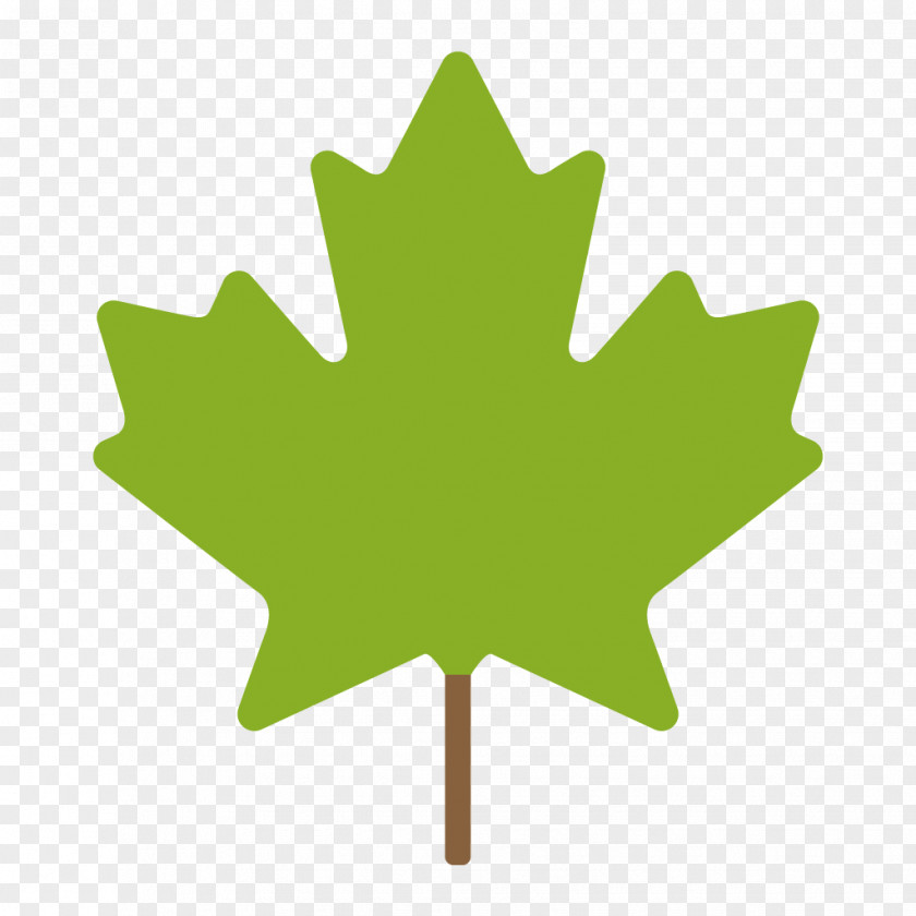 Maple Leaf Flag Of Canada Quebec PNG