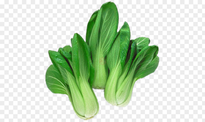 Vegetable Komatsuna Choy Sum Organic Food Leaf Chinese Cabbage PNG