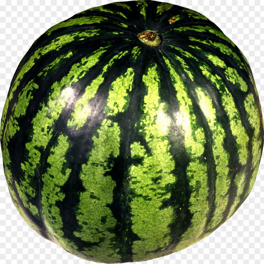 Watermelon Citrullus Lanatus Var. Melon Fruit Clip Art PNG